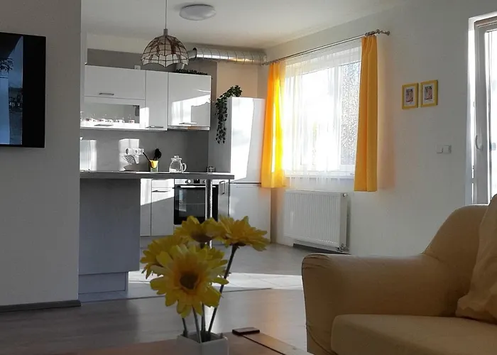Rodinny Apartman Lucie V Blizkosti Wellness Hotelu Ve Frymburku